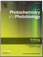 Near-infrared phototherapy for patient-derived orthotopic xenograft model of hepatocellular carcinoma in combination with indocyanine green