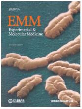 BMS794833 inhibits macrophage efferocytosis by directly binding to MERTK and inhibiting its activity