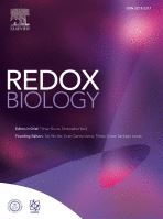 MARS2 drives metabolic switch of non-small-cell lung cancer cells via interaction with MCU