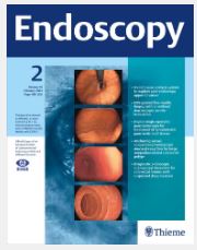 Prolonged Patency of Fully Covered Self-Expandable Metal Stents with an Externally Anchored Plastic Stent in Distal Malignant Biliary Obstruction