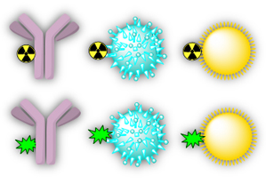 바이오마커 표지 설명이미지