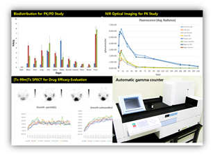 Biodistribution (%ID/g) & PK/PD study 그래프 예시
