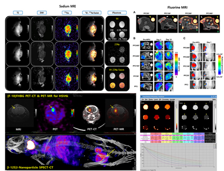 분자영상 분석 자료로