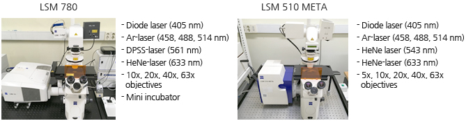 LSM 780 -Diode laser (405 nm) -Arlaser (458, 488, 314 nm) -DPSS-laser (561 nm), -HeNe-laser (533 nm) -10x, 20x, 40x, 63x objectives -Mini incubator
/ LSM 510 META -Diode laser (405 hm) -Arlaser (458, 488, 514 nm) -HeNe laser 543 am) -HeNe laser (655 nm) -5x. 10x, 20x. 40x. 63x objectives