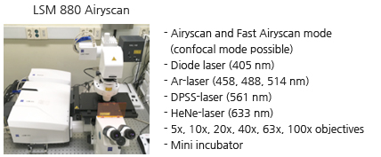 ISM 880 Airyscan -Airyscan and Fast Airyscan mode (confocal mode possible)
-Diode laser (405 nm)
-Arlaser (458. 488. 514 nm)
-DPSS-laser (561 nm)
-HeNe-laser (633 nm)
-5x, 10x, 20x, 40x, 63x. 100x objectives
-Mini incubator