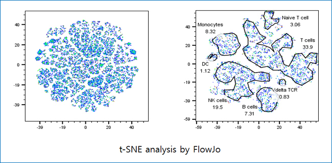 t-SNE analysis by FlowJo 분포도 예제 이미지