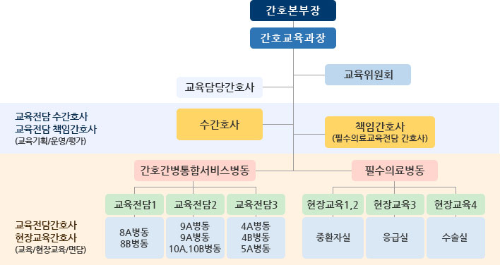 간호교육과 조직도 간호본부장-간호교육과장-교육위원회-교육담당감호사-교육전담 구간호사-책임간호사(필수의료교육전담 간호사)-간호간병통합서비스병동(교육전담1:8A병동,8B병동 교육전담2:9A병동,9A병동,10A,10B병동 교육전담3:4A병동,4B병동,5A병동)-필수의료병동(현장교육1,2:중환자실 현장교육3:응급실 현장교육4:수술실)