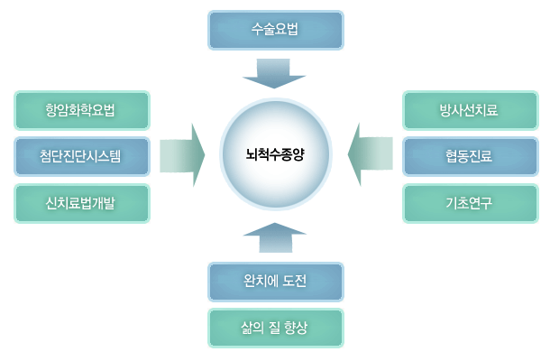 뇌척수 종양 수술요법 / 협동진료 - 방사선치료, 기초연구 / 완치에 도전 - 삶의 질 향상 / 첨단진단시스템 - 항암화학요법, 신치료법개발