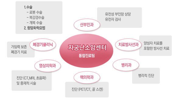 자궁난소암센터 통합진료팀 :  1. 수술(로봇수술, 복강경수술, 개복수술), 2. 항암화학요법 /산부인과(유전성 부인암 상담, 유전자검사), 치료방사선과(양성자 치료를 포함한 방사선 치료), 병리과(병리적 진단), 핵의학과(진단, PET, CT, 골스캔), 영상의학과(진단 CT, MRI, 초음파 및 중재적시술), 폐경기클리닉(가임력 보존, 폐경기 치료)