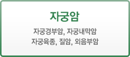자궁암(자궁경부암, 자궁내막암, 자궁육종, 질암, 외음부암)