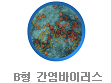 B형 간염바이러스